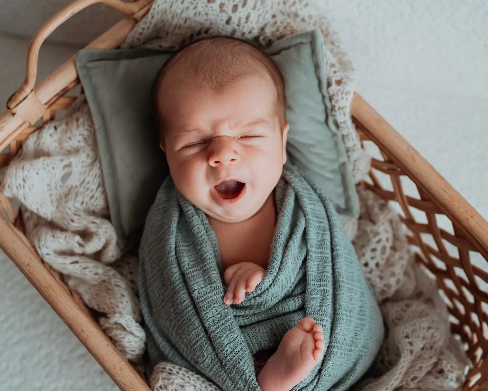 A nos Photos – Photographe Emeline Hanot